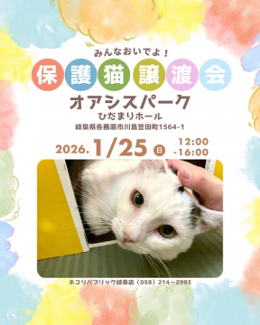 オアシスパーク開催 保護猫の里親募集イベント