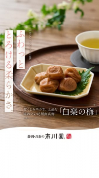 甘くまろやかな上品な味わいの紀州南高梅「白楽の梅」