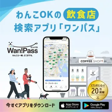 わんこOKの飲食店検索アプリ ワンパス