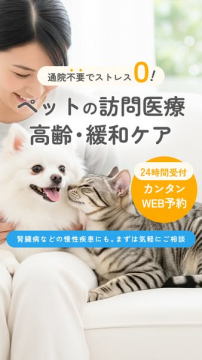 通院不要でストレス0！ペットの訪問医療・高齢緩和ケア