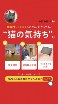 NEKOBEYA 猫専門ペットホテル 猫の気持ち