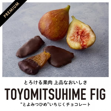 とよみつひめいちじくチョコレート とろける果肉のデザート