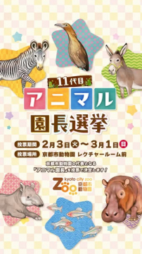 第11回京都動物園アニマル園長選挙