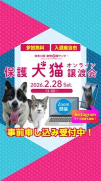 神奈川県動物保護センター主催 保護犬猫オンライン譲渡会