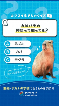 カワスイ生きものクイズで学ぶアニマルスクール