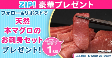 ZIP! 豪華プレゼント 天然本マグロのお刺身セット