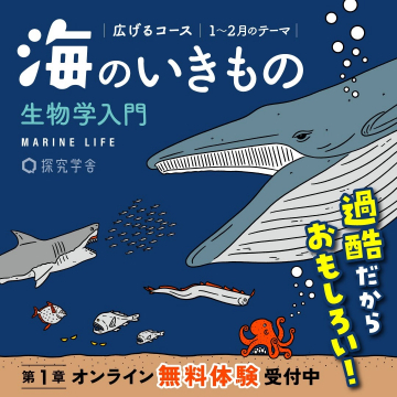 海のいきもの 生物学入門 第1章オンライン無料体験