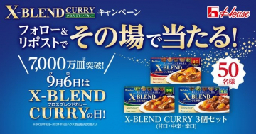 X-BLEND CURRY キャンペーン 3個セット（甘口・中辛・辛口）