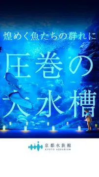 京都水族館 煌めく魚と圧巻の大水槽