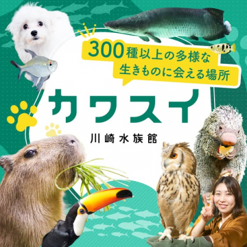カワスイ川崎水族館：多様な300種以上の生きものに出会える場所