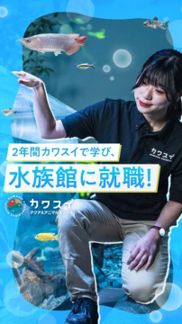 カワスイ アニマルスクール：水族館就職を目指す2年制専門学校