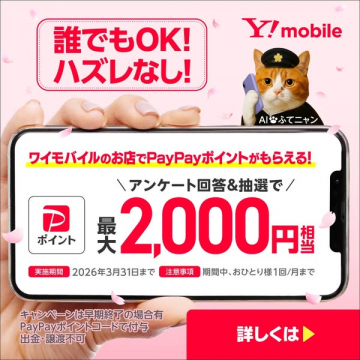 Y!mobile店舗でPayPayポイント抽選キャンペーン