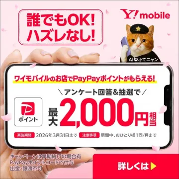 Y!mobile店舗でPayPayポイント抽選キャンペーン