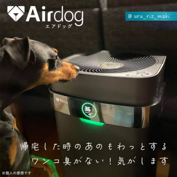 Airdog空気清浄機によるペットのニオイ対策