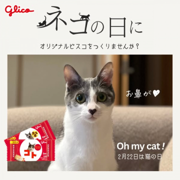 Glicoネコの日オリジナルビスコ作りキャンペーン