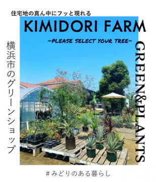 KIMIDORI FARM 横浜の住宅街グリーンショップ