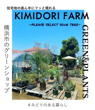 KIMIDORI FARM 横浜の住宅街グリーンショップ