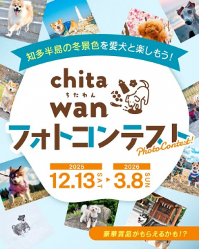 知多半島の冬景色を愛犬と楽しむchita wanフォトコンテスト