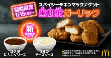 スパイシーチキンマックナゲット 黒胡椒ガーリック（期間限定ソース付き）