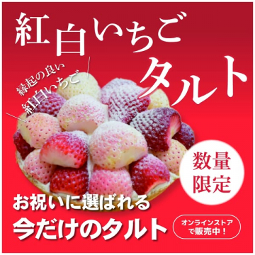 お祝いに！縁起の良い紅白いちごの限定タルト