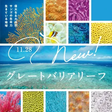 新グレートバリアリーフ展示 ～サンゴと海の生命の力を感じる～