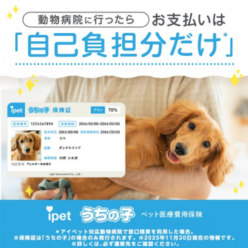 動物病院の自己負担分だけ！ipetうちの子ペット医療費用保険