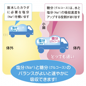 塩分と糖分で速やかに水分補給