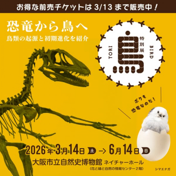 鳥類の起源と初期進化を紹介する特別展 TORI BIRD