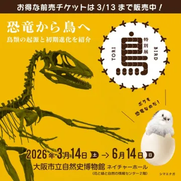 鳥類の起源と初期進化を紹介する特別展 TORI BIRD