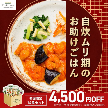 自炊ムリ期のお助けごはん（初回限定14食セット）