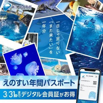 新江ノ島水族館 年間パスポートでお得に一年中楽しむ