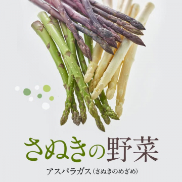 さぬきの野菜 アスパラガス（さぬきのめざめ）の販売