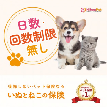 日本ペット少額短期保険のペット保険