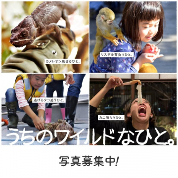 ワイルドな体験写真の公募キャンペーン