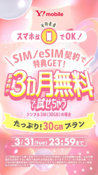 Y!mobile SIM/eSIM 30GBお試しキャンペーン