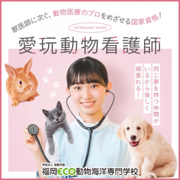 愛玩動物看護師 国家資格養成講座