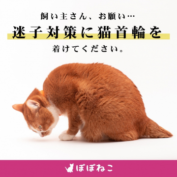 ぽぽねこ 猫首輪 迷子対策