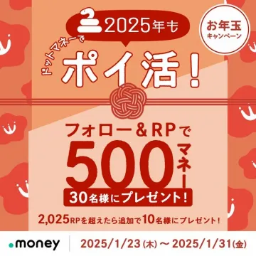 ドットマネー お年玉キャンペーン 2025年もポイ活！
