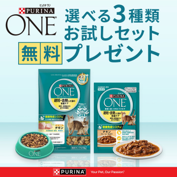 PURINA ONE 選べる3種類お試しセット 無料プレゼント