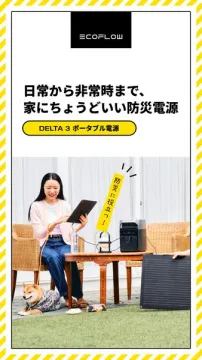 ECOFLOW DELTA 3 家庭用防災電源