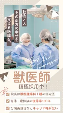 獣医師求人｜動物と人を支える病院採用