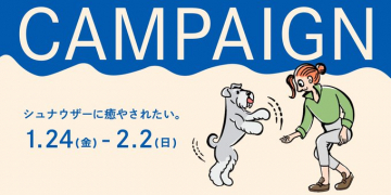 シュナウザーに癒やされたい。キャンペーン