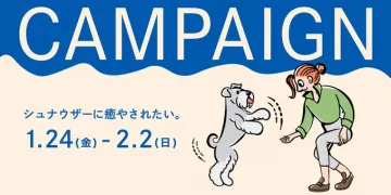 シュナウザーに癒やされたい。キャンペーン