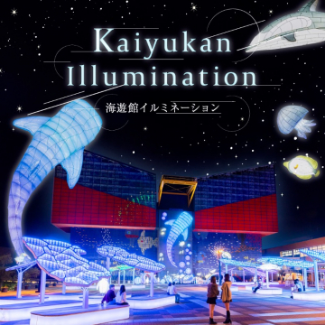 海遊館イルミネーション（夜の海をテーマにした幻想的なライトアップイベント）