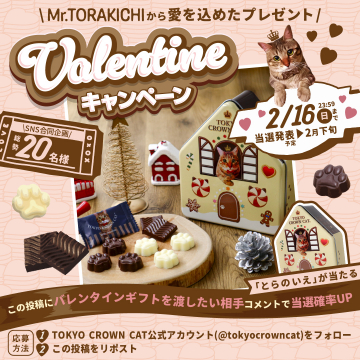 Valentineキャンペーン（Mr.TORAKICHIから愛を込めたプレゼント）