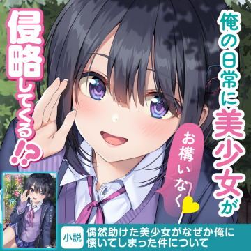 偶然助けた美少女がなぜか俺に懐いてしまった件について（小説）