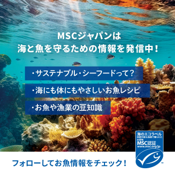 MSCジャパン 海と魚を守るための情報