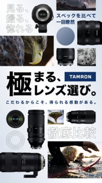 TAMRON レンズ徹底比較ガイド