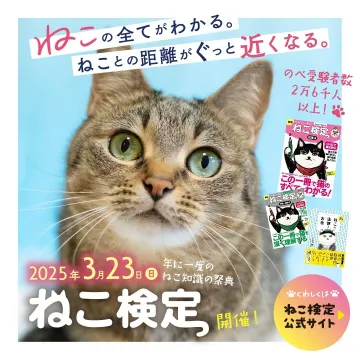 ねこ検定 2025 年に一度のねこ知識の祭典