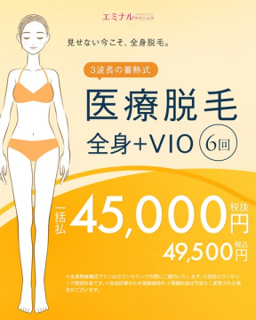 エミナルクリニック 全身＋VIO医療脱毛コース